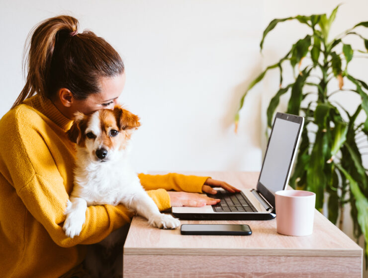 Die besten flexiblen Arbeitgeber – hier will ich mich bewerben! happyworkingmom - new work - flexibler job - familienfreundliches unternehmen - vereinbarkeit familie und beruf